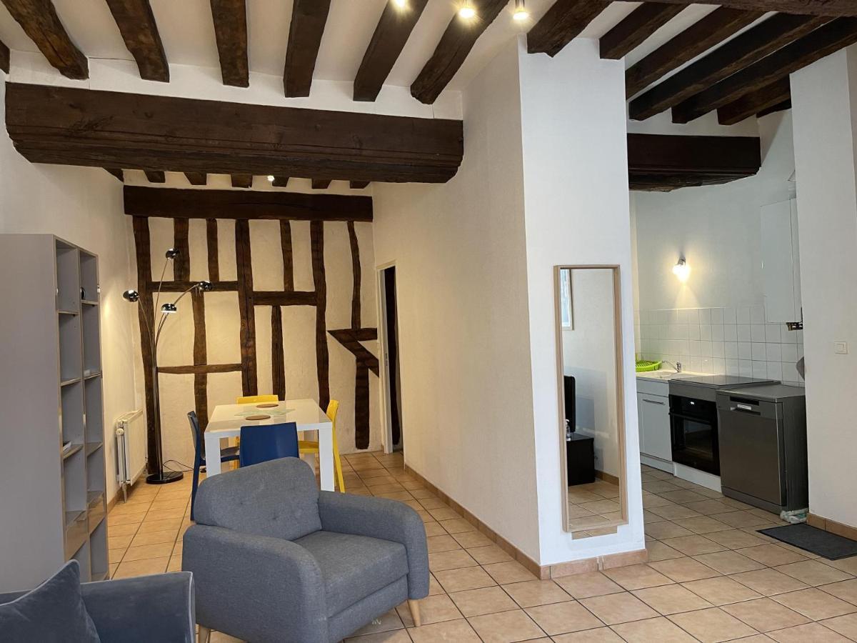 Appartement Le Coche D'Eau Auxerre Les Quais Dış mekan fotoğraf
