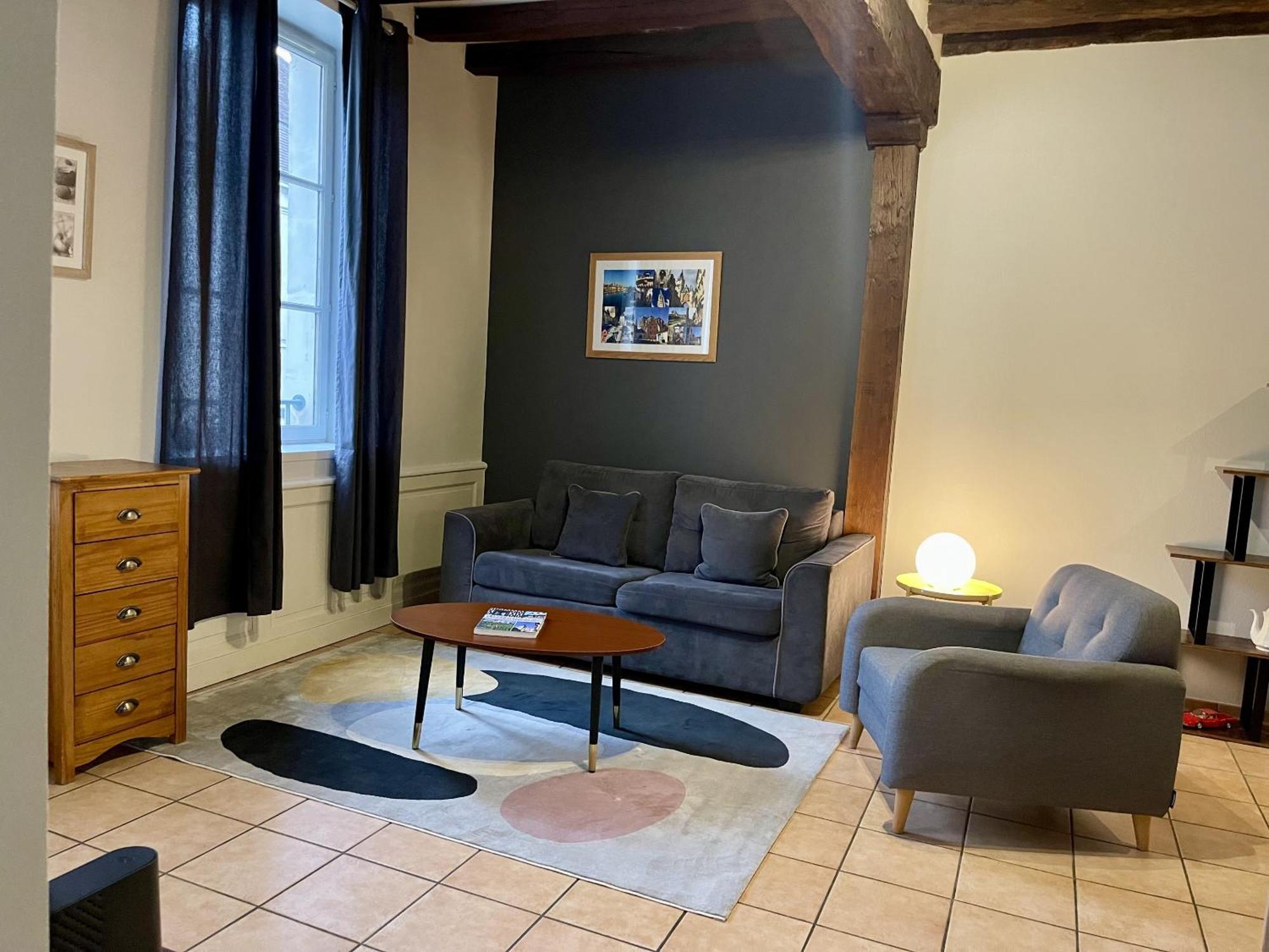 Appartement Le Coche D'Eau Auxerre Les Quais Dış mekan fotoğraf