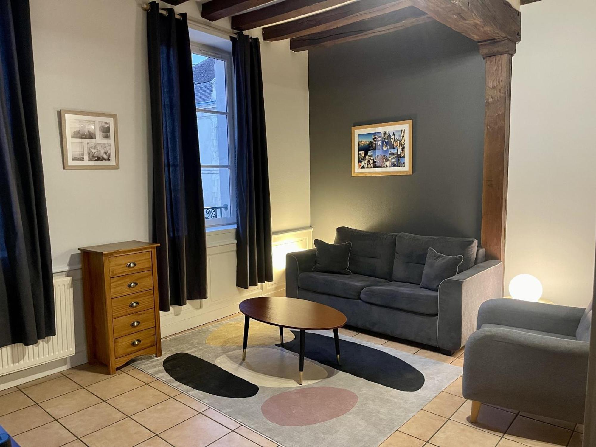 Appartement Le Coche D'Eau Auxerre Les Quais Dış mekan fotoğraf