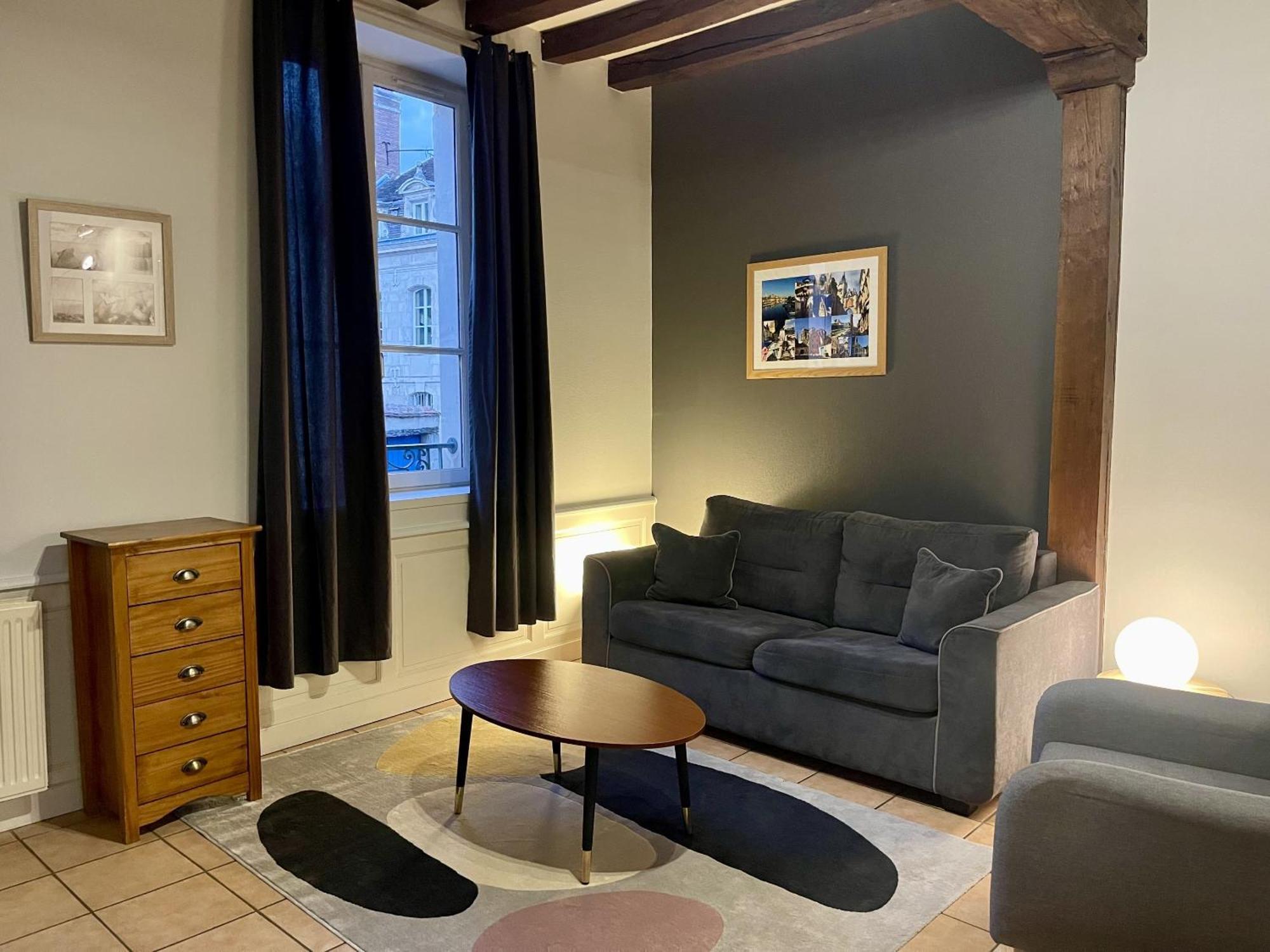 Appartement Le Coche D'Eau Auxerre Les Quais Dış mekan fotoğraf